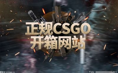 CSGO游戏VPN使用指南，深度解析与性能提升建议,csgo 开vpn吗,第1张