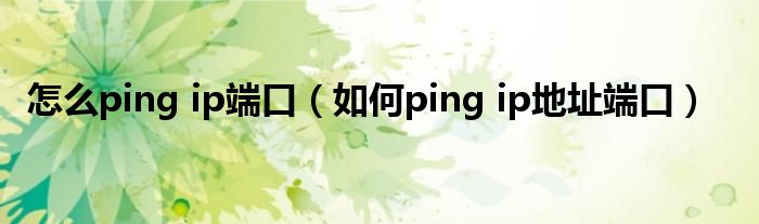 Ping VPN IP获取与使用全攻略，深入解析及注意事项,ping vpn的ip,第1张