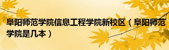 阜阳师范学院VPN助力学生网络自由行,阜阳师范学院 vpn,第1张