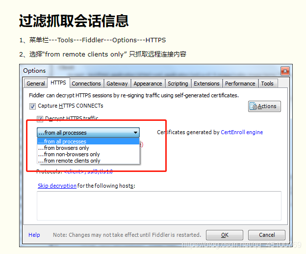 Fiddler VPN，网络安全与数据传输的奥秘解析,fiddler vpn,第1张