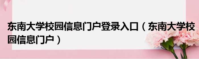 东南大学VPN快速登录指南，轻松跨越校园网络障碍,东南大学vpn登录,vpn.,vpn,第1张