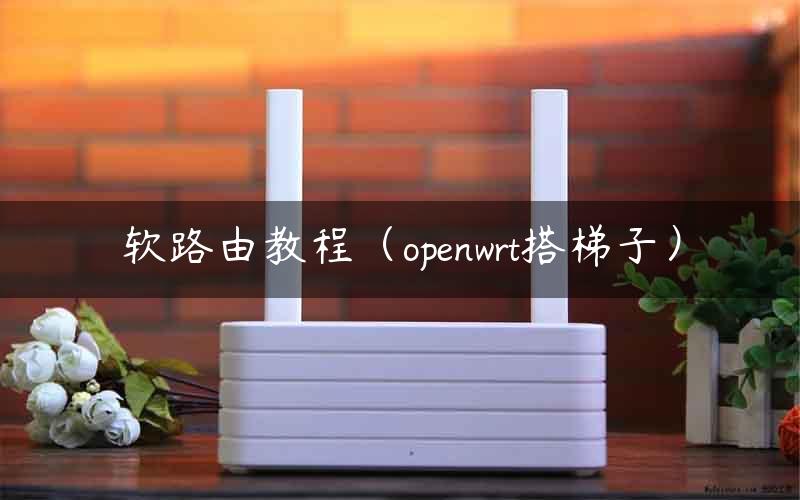 OpenWrt VPN路由器，构建家庭安全稳定网络解决方案,openwrt vpn 路由器,第1张