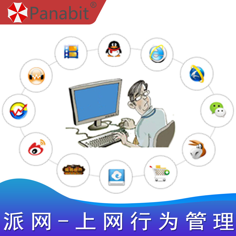 Panabit VPN，引领网络安全新潮流，构筑高效稳定网络环境,panabit vpn,第1张