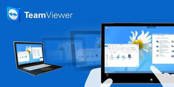 Mac系统下TeamViewer VPN配置攻略，高效远程连接与隐私安全两不误,teamviewer mac vpn,第1张